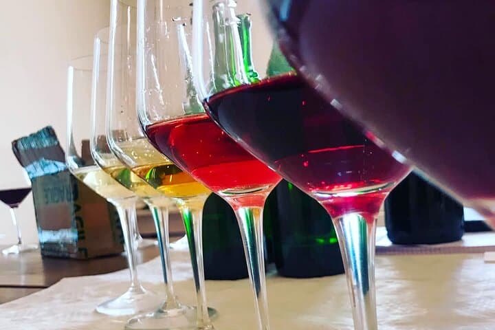 Dégustation de vins et visite de vignoble à Lazise — photo 5