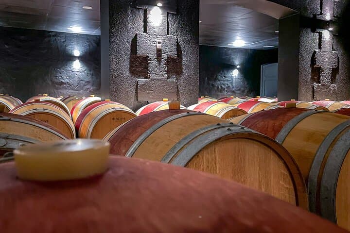 Excursión de un día completo a Saint-Emilion y Margaux, desde Burdeos — foto 4