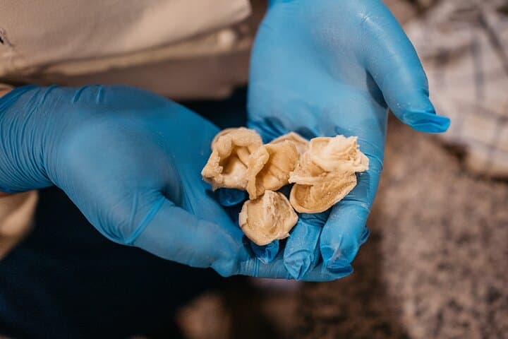 Atelier d'Orecchiette à Cologne