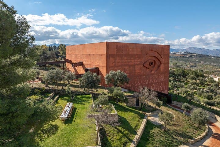 LA Almazara Olio d'Oliva e Degustazione nella Sierra de Ronda — foto 3