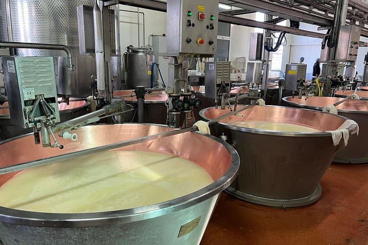 Tour de Sabores: Parmigiano Reggiano, Vinagre Balsámico y Almuerzo — foto 4