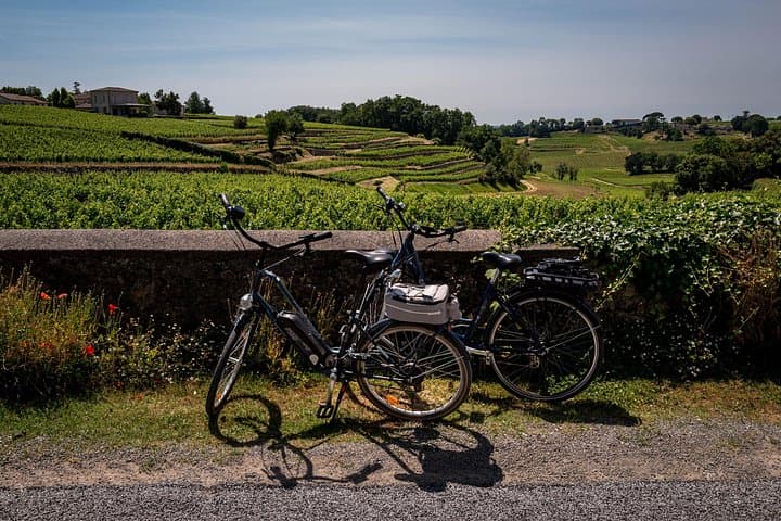 Tour del Vino di Saint Emilion in E-Bike - Ritiro e riconsegna a Bordeaux — foto 2