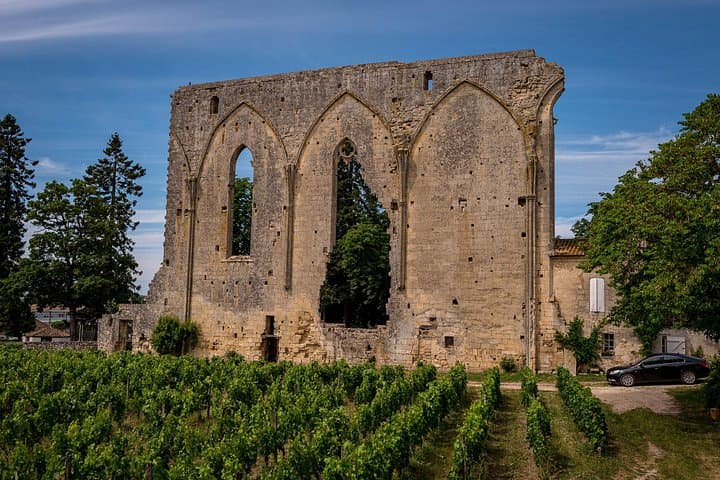 Tour del Vino di Saint Emilion in E-Bike - Ritiro e riconsegna a Bordeaux — foto 3