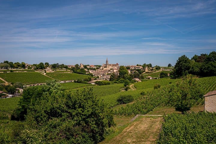 Tour del Vino di Saint Emilion in E-Bike - Ritiro e riconsegna a Bordeaux — foto 4