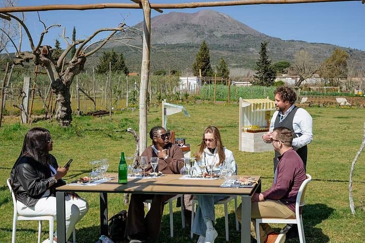 Geführte Tour durch Pompeji & Mittagessen mit hochwertiger Weinprobe — Foto 3