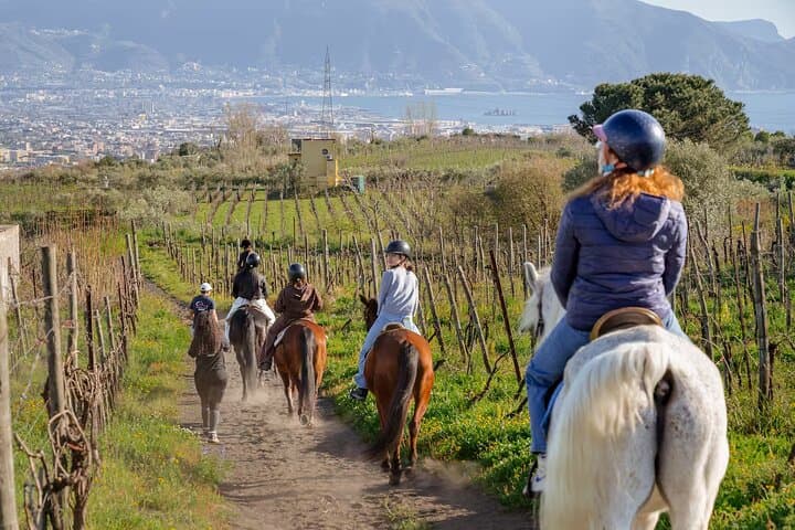 Passeggiata a Cavallo sul Vesuvio — foto 3