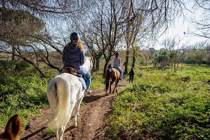 Passeggiata a Cavallo sul Vesuvio — foto 4