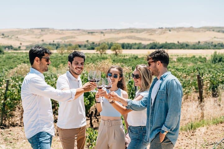 Tour di Toledo e Esperienza in Vigna con Degustazione di Vini da Madrid — foto 2