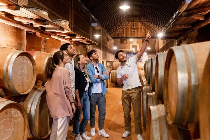 Tour di Toledo e Esperienza in Vigna con Degustazione di Vini da Madrid — foto 3