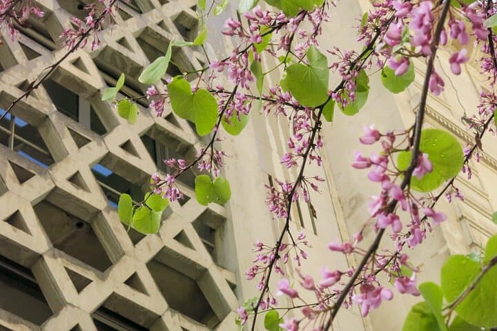 Jüdische Geschichte Tour durch Le Marais — Foto 2