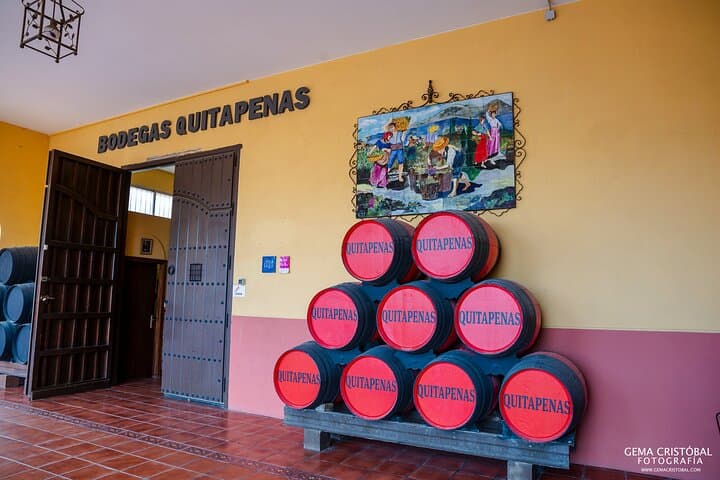 Besuch der Bodegas Quitapenas und Weinprobe in Malaga — Foto 2