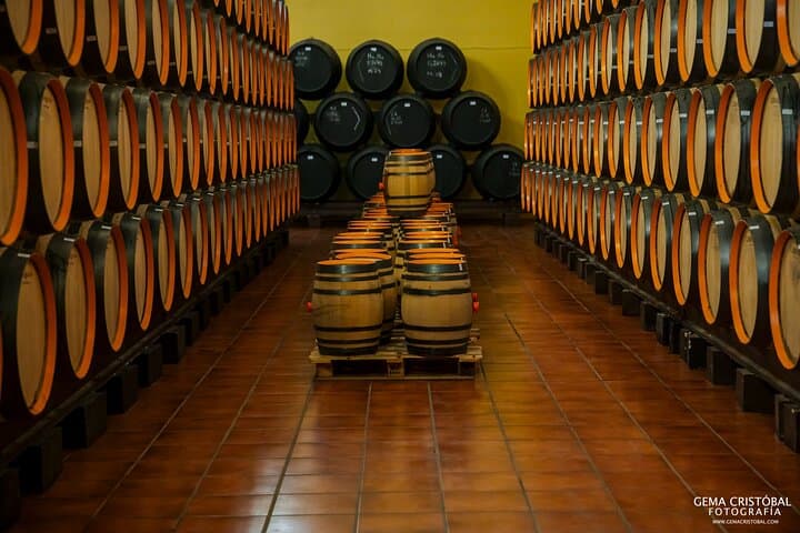 Besuch der Bodegas Quitapenas und Weinprobe in Malaga — Foto 3