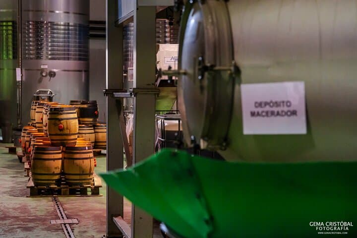 Besuch der Bodegas Quitapenas und Weinprobe in Malaga — Foto 5