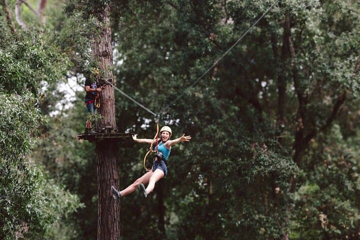 Parco Avventura Il Pineto — foto 3