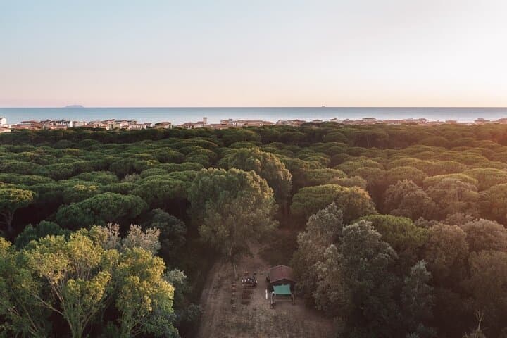 Parco Avventura Il Pineto — foto 5
