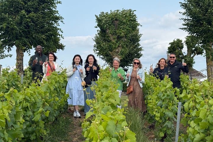Excursión de un día a Champagne desde París con degustaciones y visita a la catedral — foto 5