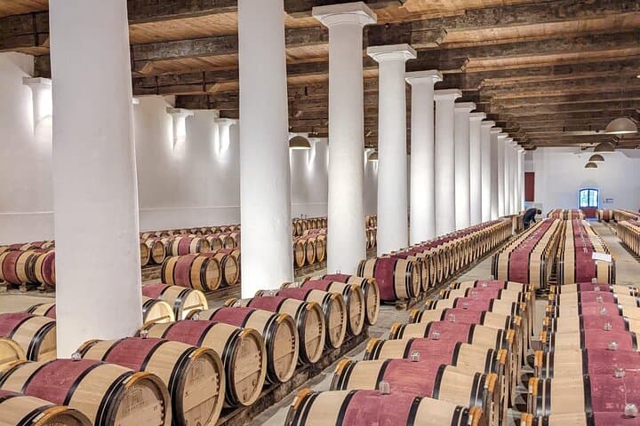 Private Ganztägige Tour von Saint-Emilion ab Bordeaux — Foto 5