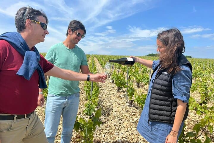 Giornata del Vino Chablis-Borgogna da Parigi con 8 Degustazioni e Pranzo — foto 5