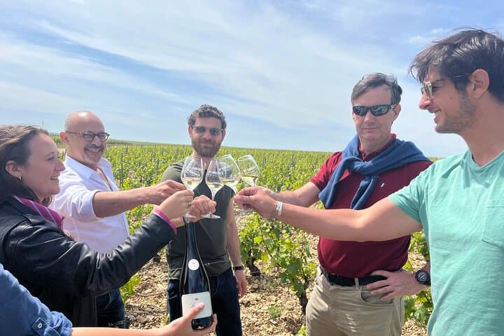 Chablis-Burgund Wein Tag von Paris mit 8 Verkostungen & Mittagessen