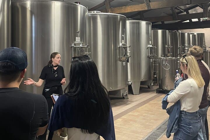 Saint-Émilion & Pomerol Wein Tour — Foto 5