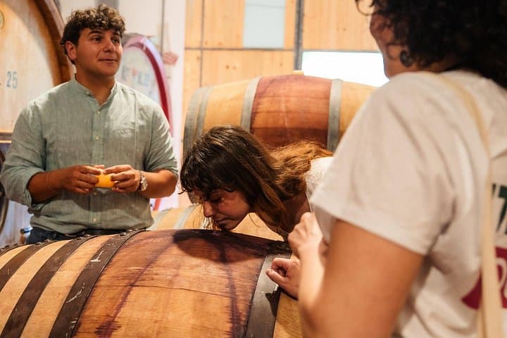 Da Roma a Firenze e Toscana in treno ad alta velocità e degustazione di vini — foto 2