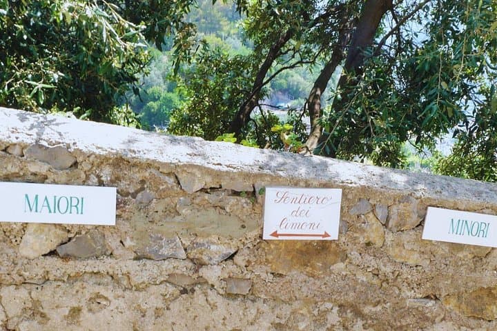 Randonnée sur le Sentier des Citrons, Côte Amalfitaine — photo 3