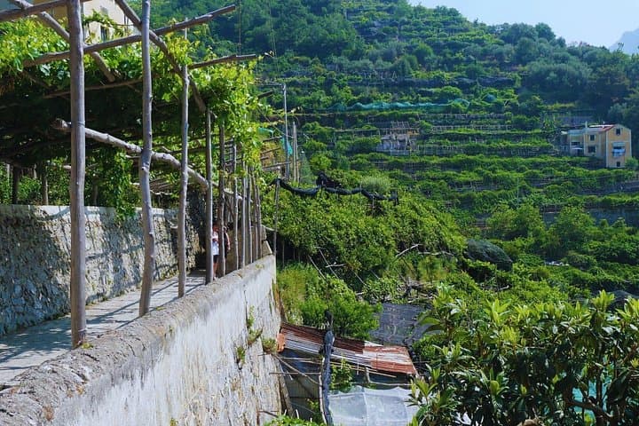 Randonnée sur le Sentier des Citrons, Côte Amalfitaine — photo 4