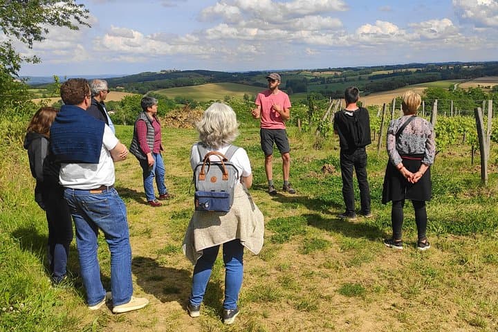 Tour del Vino in Piccolo Gruppo da Tolosa — foto 2