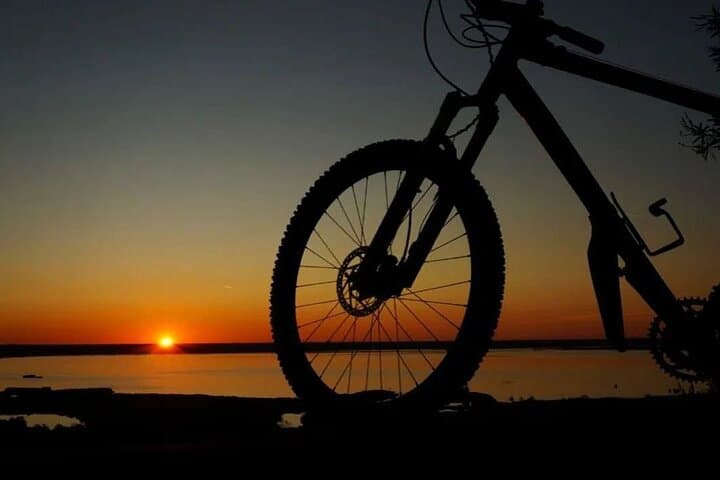 Pisa: Tour en bicicleta autoguiado al Lago Massaciuccoli