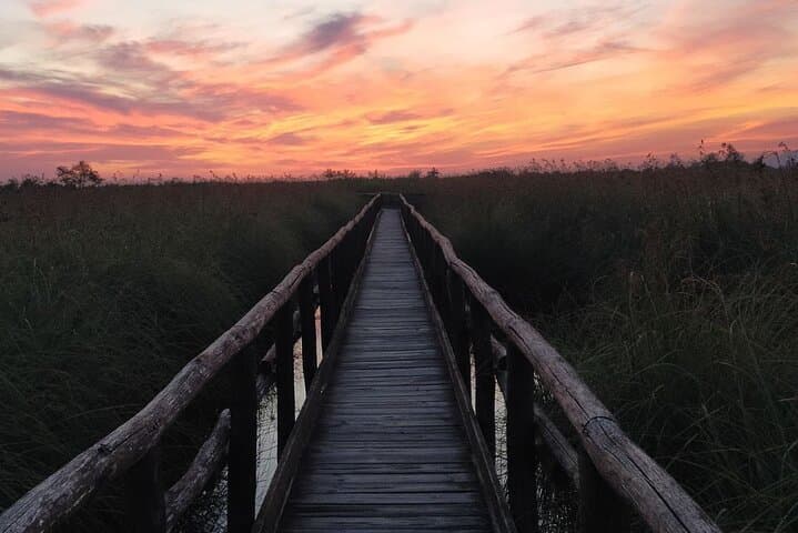 Pisa: Tour en bicicleta autoguiado al Lago Massaciuccoli — foto 3