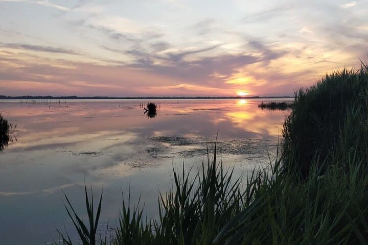 Pisa: Tour en bicicleta autoguiado al Lago Massaciuccoli — foto 4