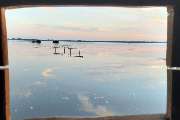 Pisa: Tour en bicicleta autoguiado al Lago Massaciuccoli — foto 5