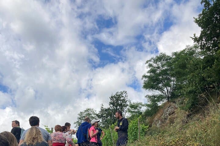 Escursione e Vino tra Côte-Rôtie e Condrieu — foto 2