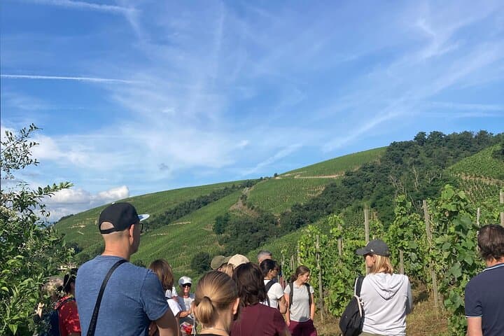 Escursione e Vino tra Côte-Rôtie e Condrieu — foto 5