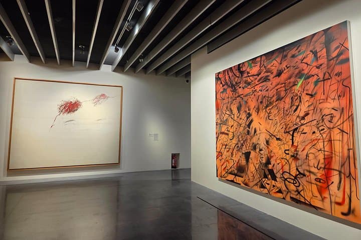 Salta la Coda: Biglietto per il Centre Pompidou di Malaga — foto 5