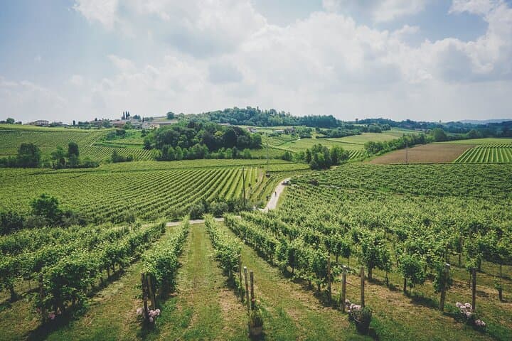 Prosecco-Weinregion Tour von Venedig mit Verkostungen — Foto 5