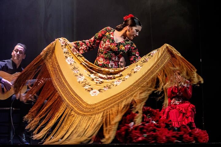 The Premium Experience at Teatro Flamenco Madrid — photo 2