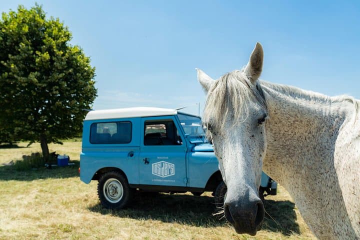 Tour Privato di un Giorno Intero nel Vigneto della Borgogna con un Land Rover d'Epoca (Lione)