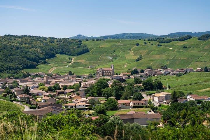Tour Privado de un Día Completo por los Vinos de Borgoña en un Land Rover Clásico (Lyon) — foto 2