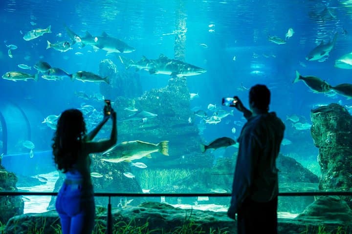 Biglietto Salta Fila per l'Acquario di Barcellona — foto 2