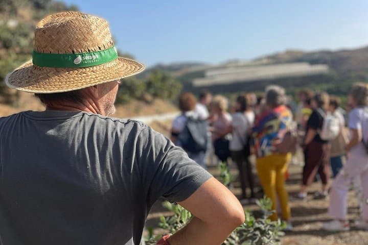 Tropentour: Avocado- und Mango-Plantage - Málaga — Foto 4