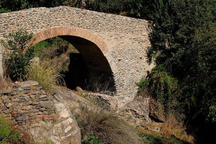 Tour dei Villaggi Bianchi nella zona di Nerja — foto 5