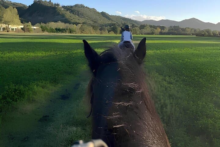 Expérience d'équitation dans les collines bolognaises — photo 4