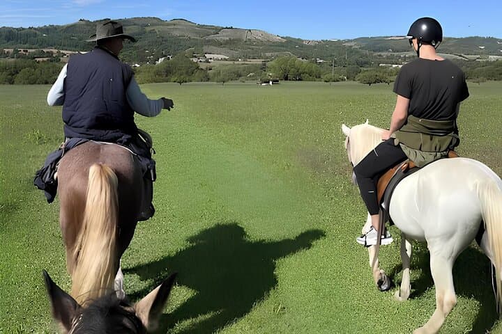 Expérience d'équitation dans les collines bolognaises — photo 5