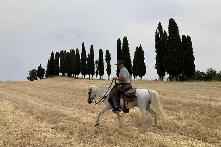 Expérience d'équitation dans les collines bolognaises — photo 2