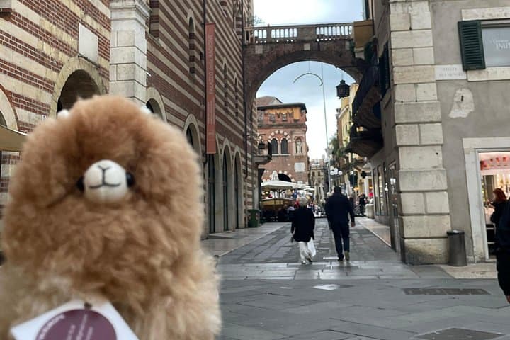 Visite Guidée Privée de Vérone sur Roméo et Juliette et les Pierres Romaines — photo 4