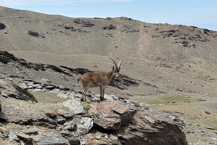 Escursione nell'Alta Sierra Nevada sopra i 3000 metri