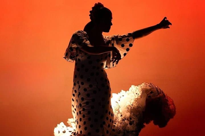 Billet pour le spectacle de Flamenco au Théâtre Barcelona City Hall — photo 4