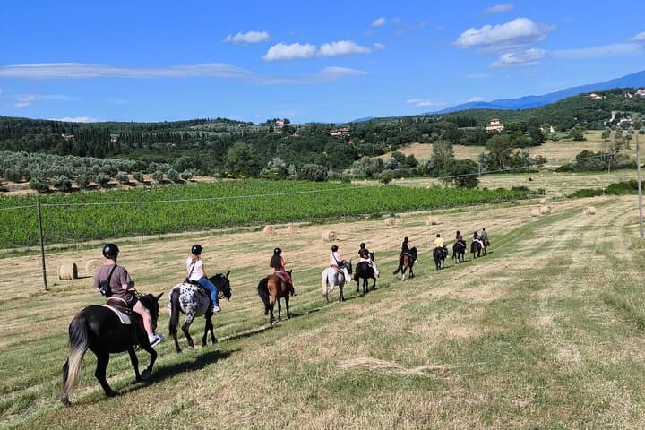 Cavalcata nei Vigneti — foto 2