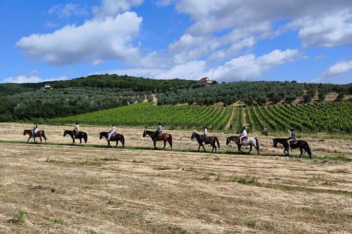 Pferdereiten in den Weinbergen
